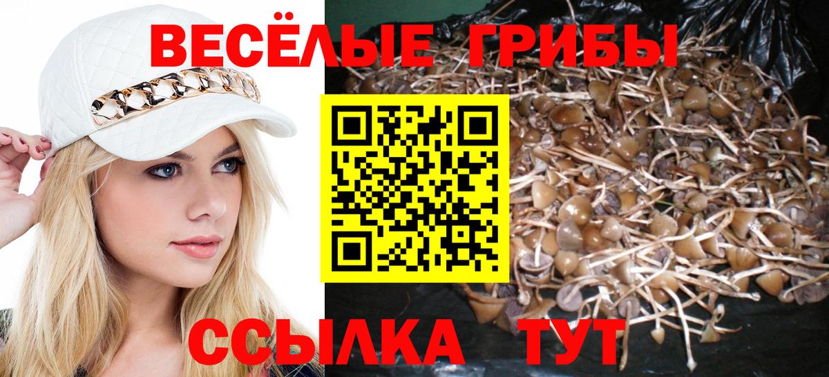 Галлюциногенные грибы Magic Shrooms Батайск